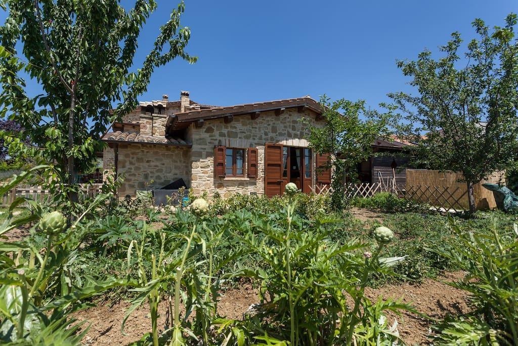 Il Belvederino Acomodação com café da manhã Brufa Exterior foto